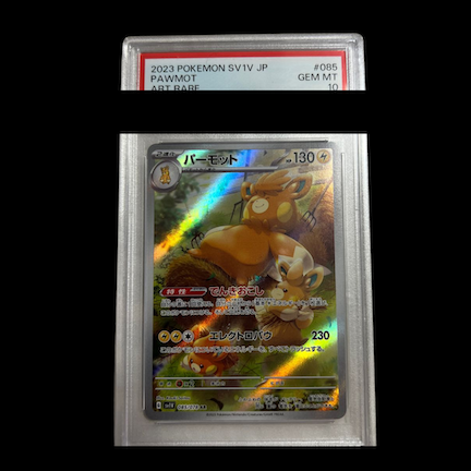 【PSA10】パーモット