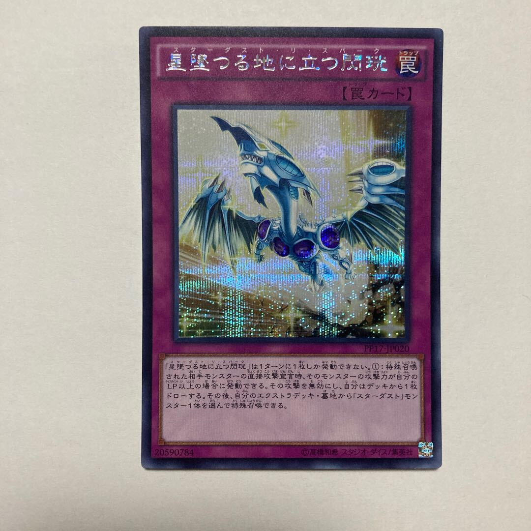 星墜つる地に立つ閃こう