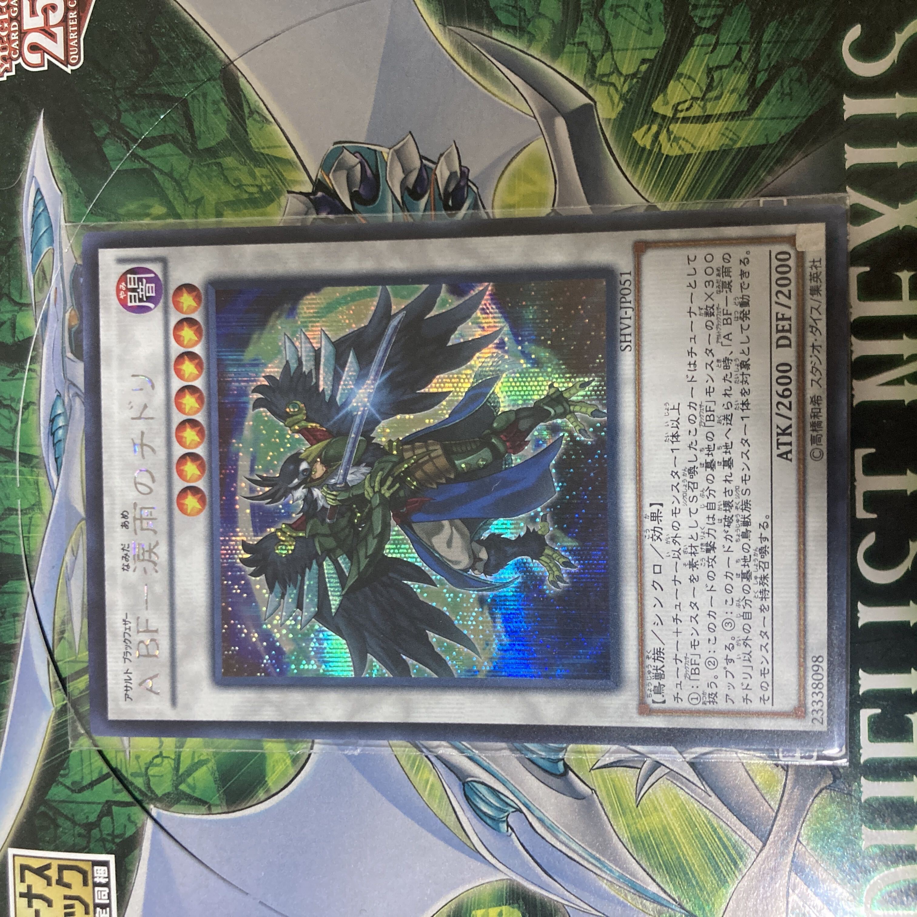 A BF-涙雨のチドリ