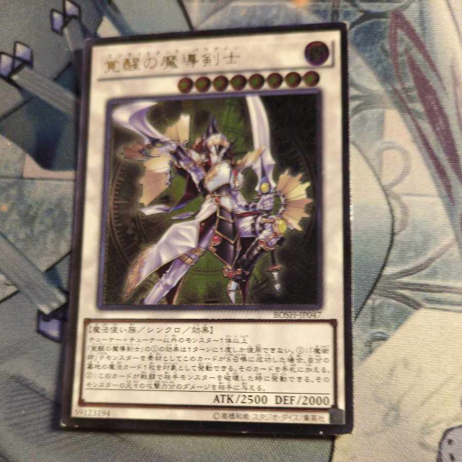 Enlightenment Paladin