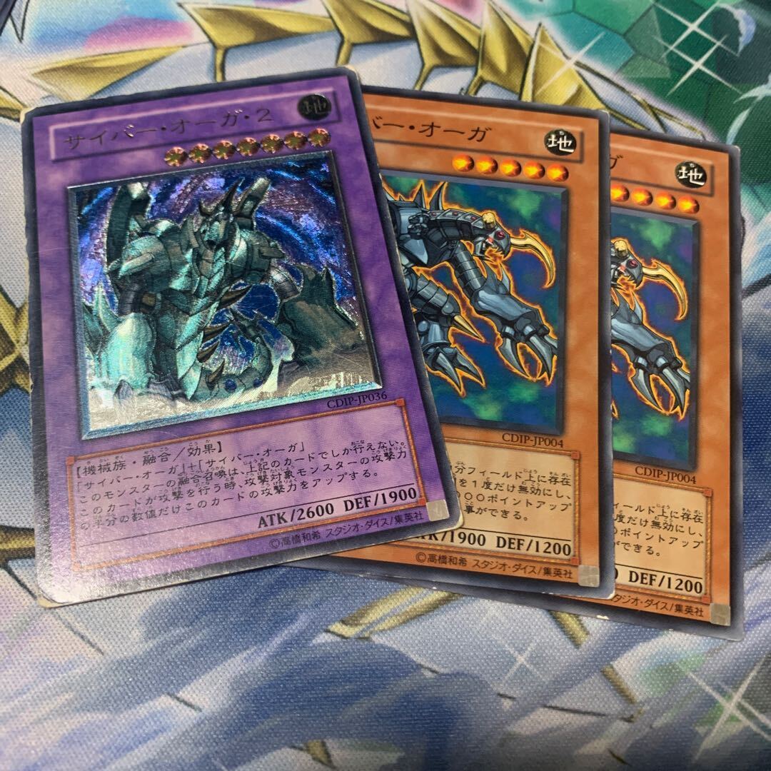 サイバー・オーガ・2