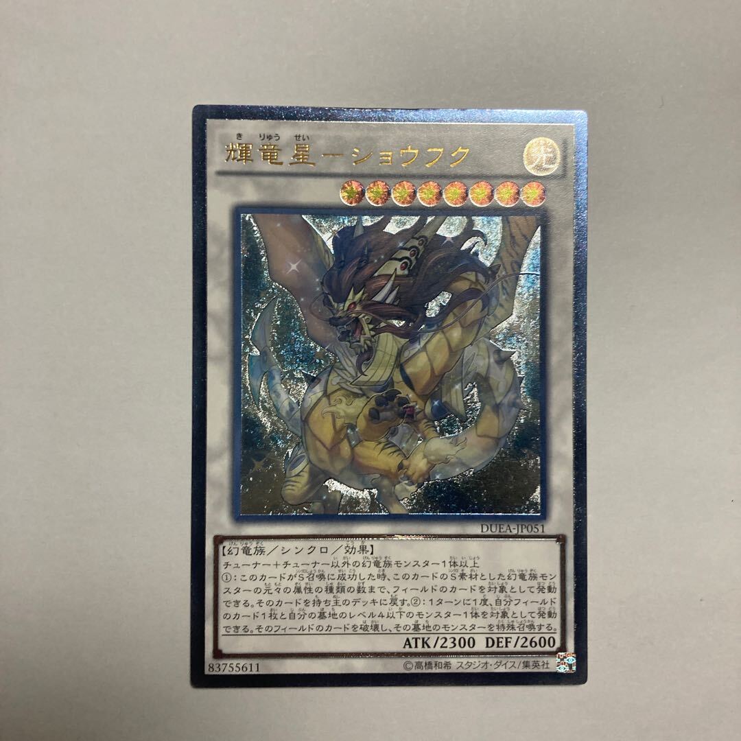 輝竜星-ショウフク