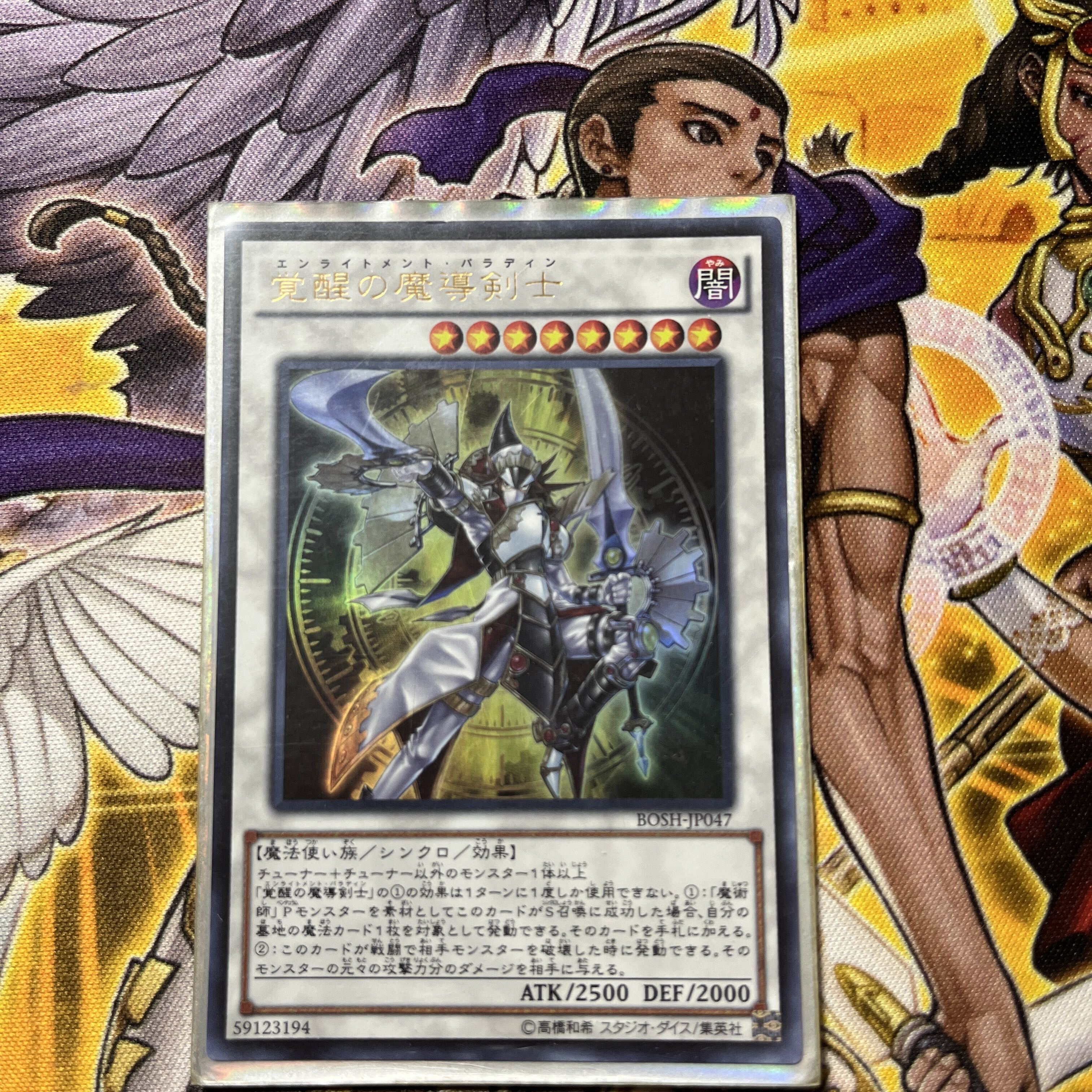 Enlightenment Paladin