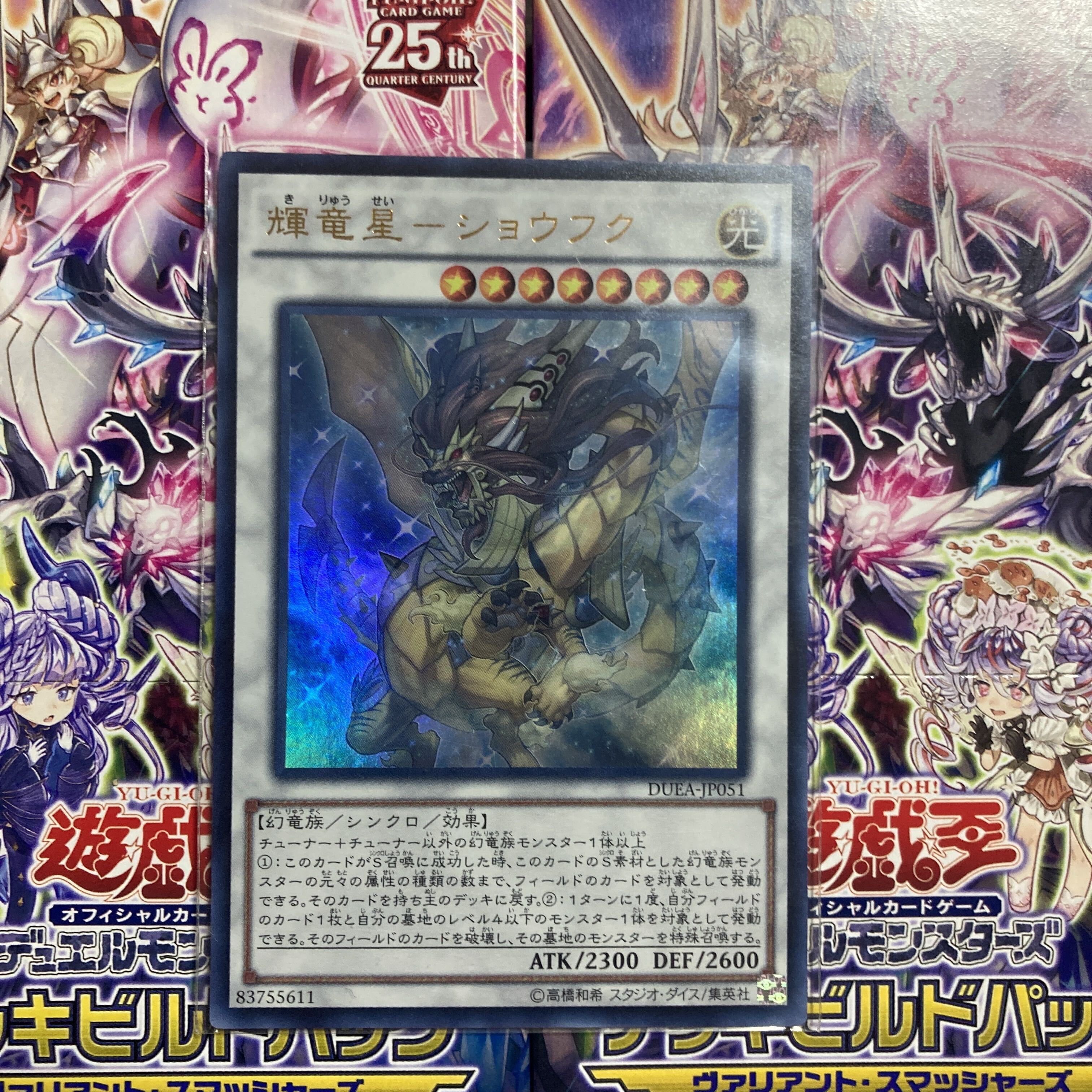 輝竜星-ショウフク