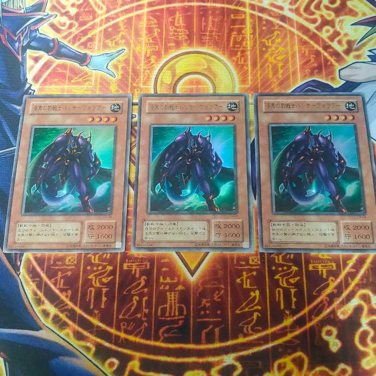 漆黒の豹戦士パンサーウォリアー