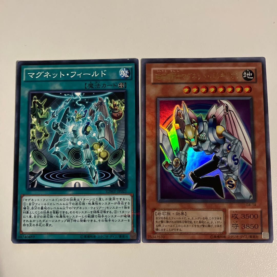 Valkyrion the Magna Warrior