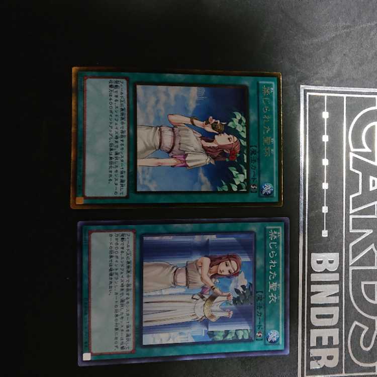 禁じられた聖衣