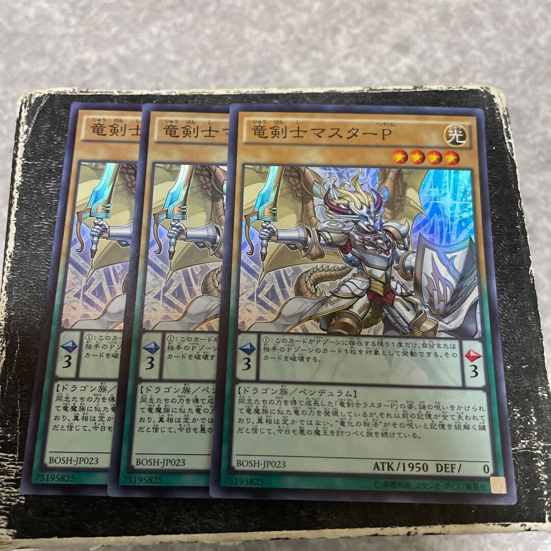 竜剣士マスターP