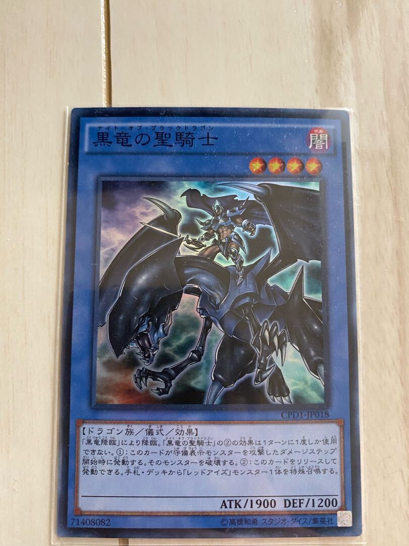 Paladin of Dark Dragon