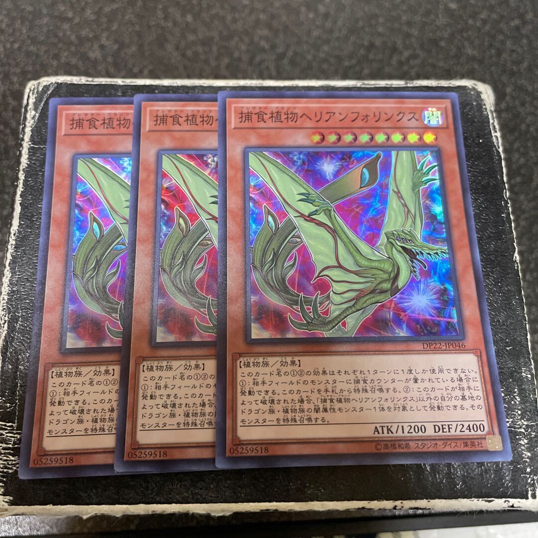 捕食植物ヘリアンフォリンクス