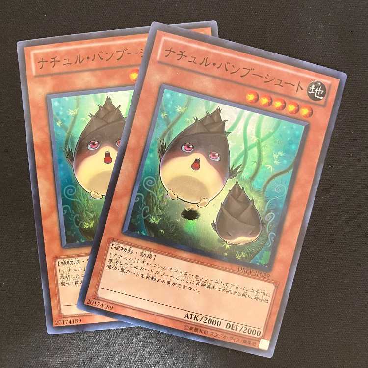 ナチュル・バンブーシュート