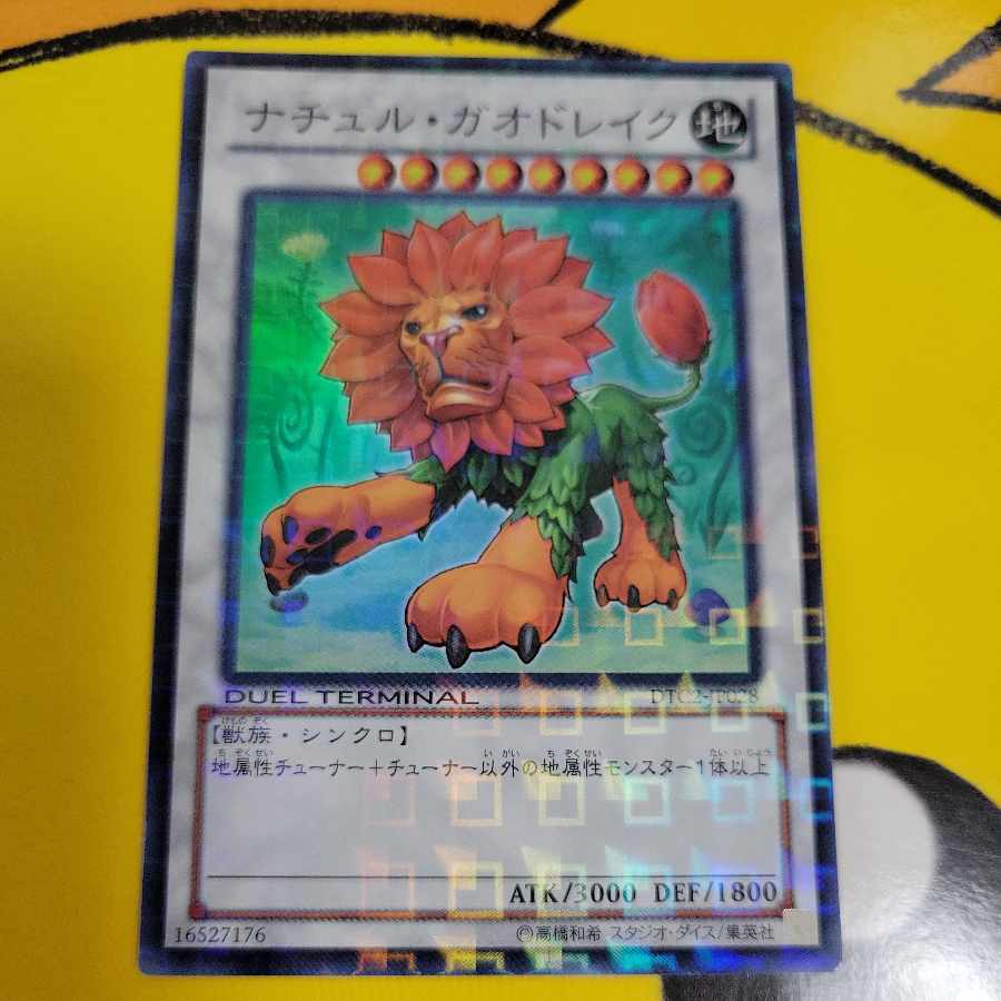 ナチュル・ガオドレイク