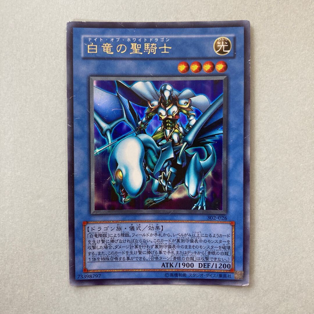 Paladin of White Dragon