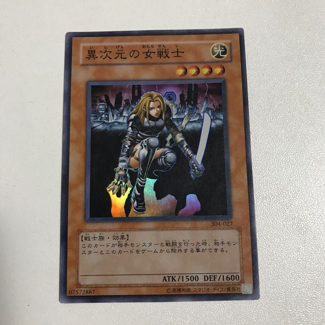 異次元の女戦士