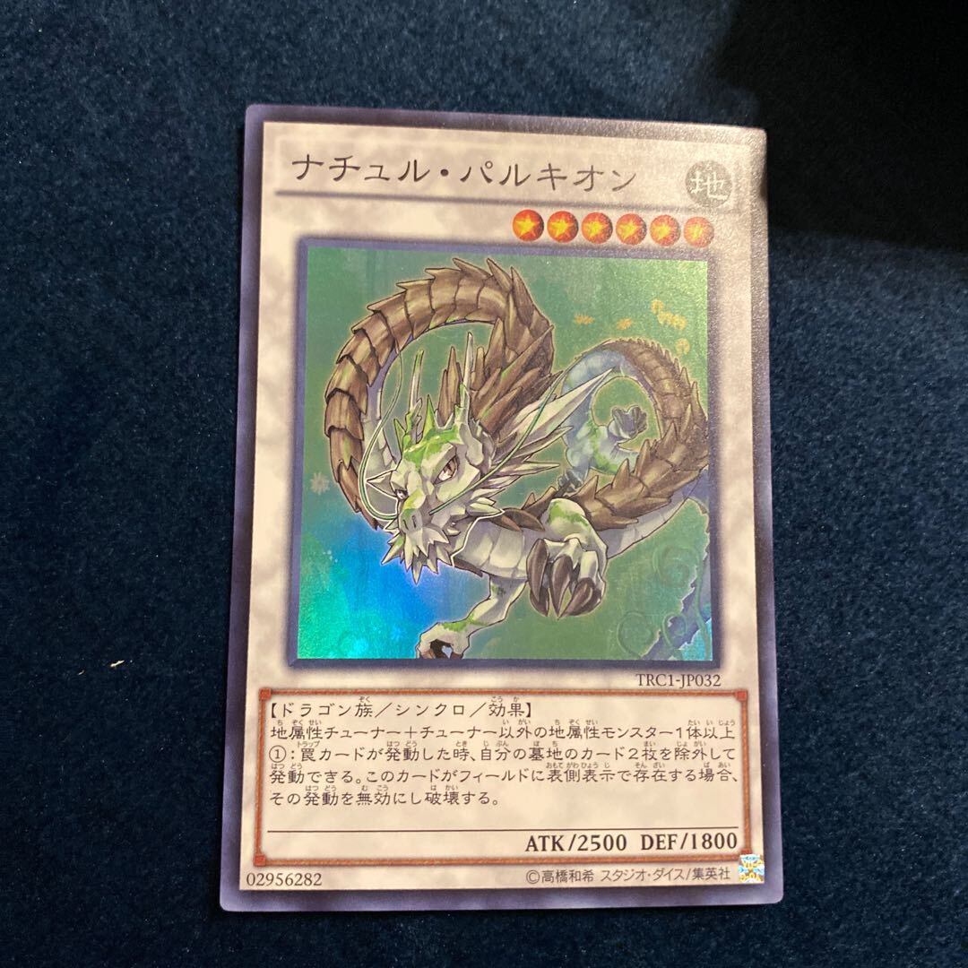 ナチュル・パルキオン