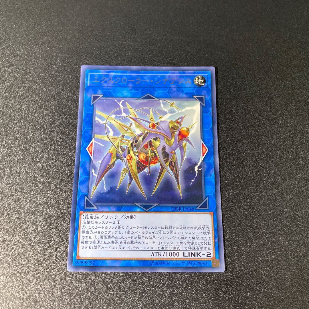 X-Krawler Synaphysis