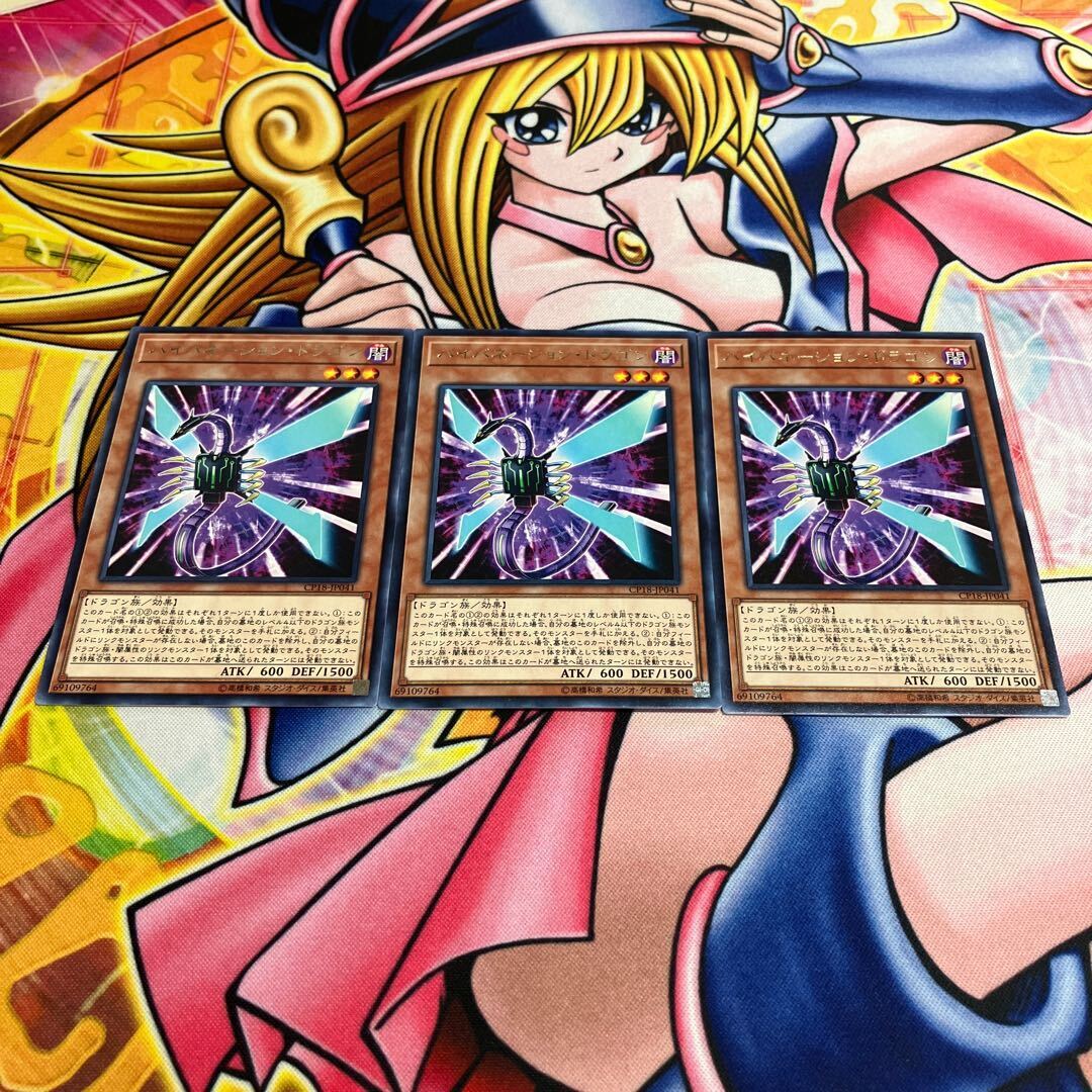 ハイバネーション・ドラゴン