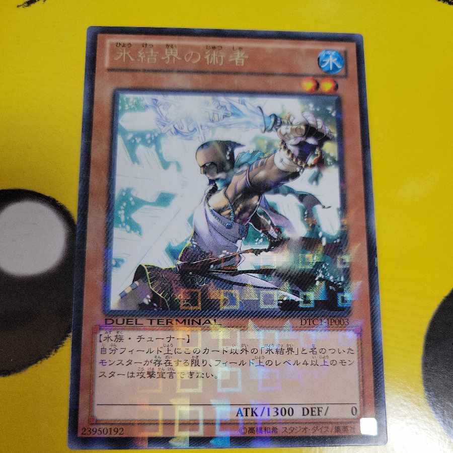 Cryomancer of the Ice Barrier