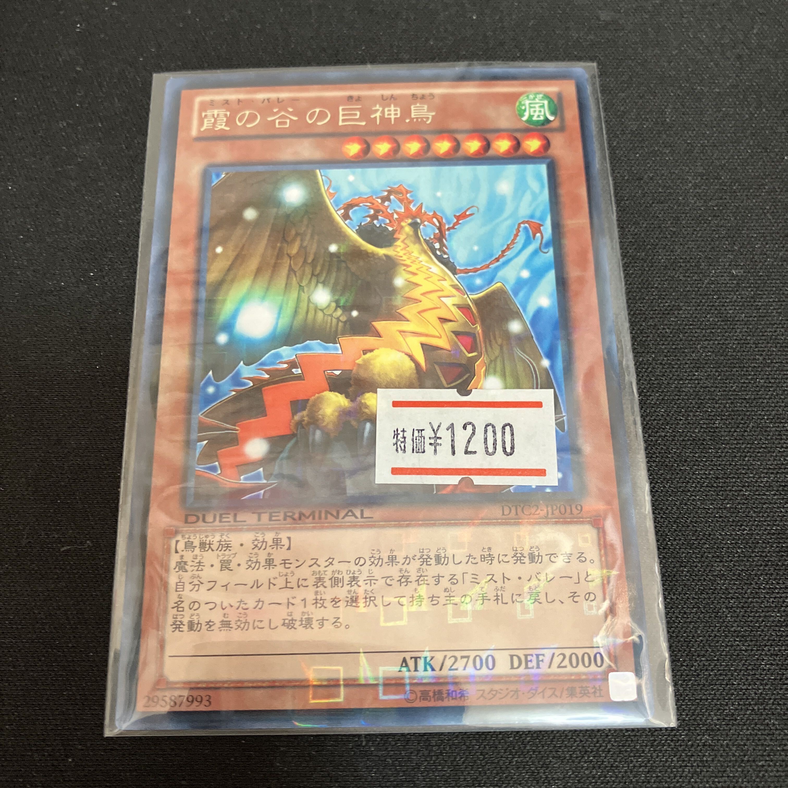 Mist Valley Apex Avian