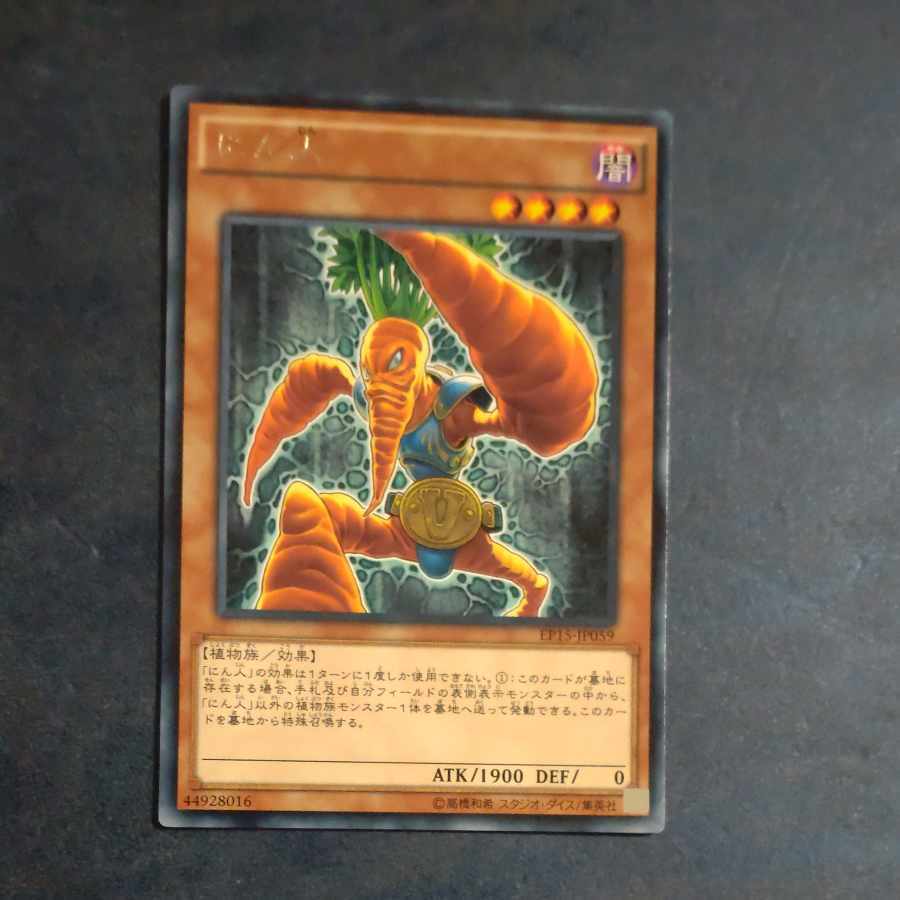 World Carrotweight Champion