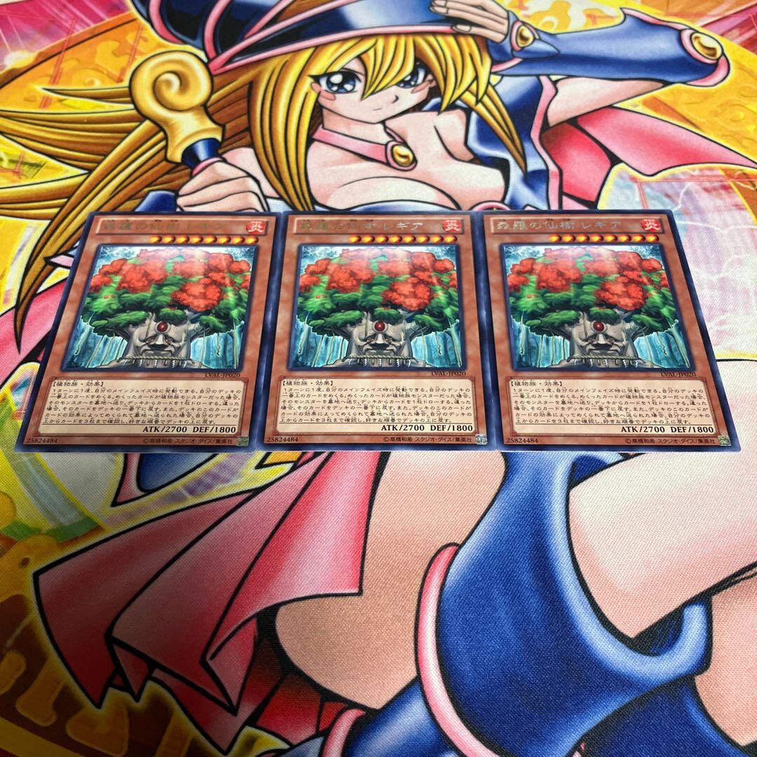 森羅の仙樹 レギア