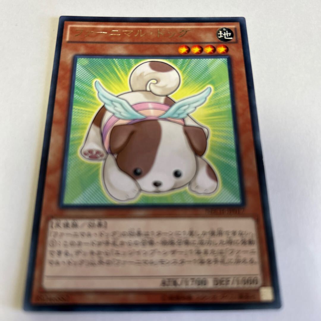 ファーニマル・ドッグ