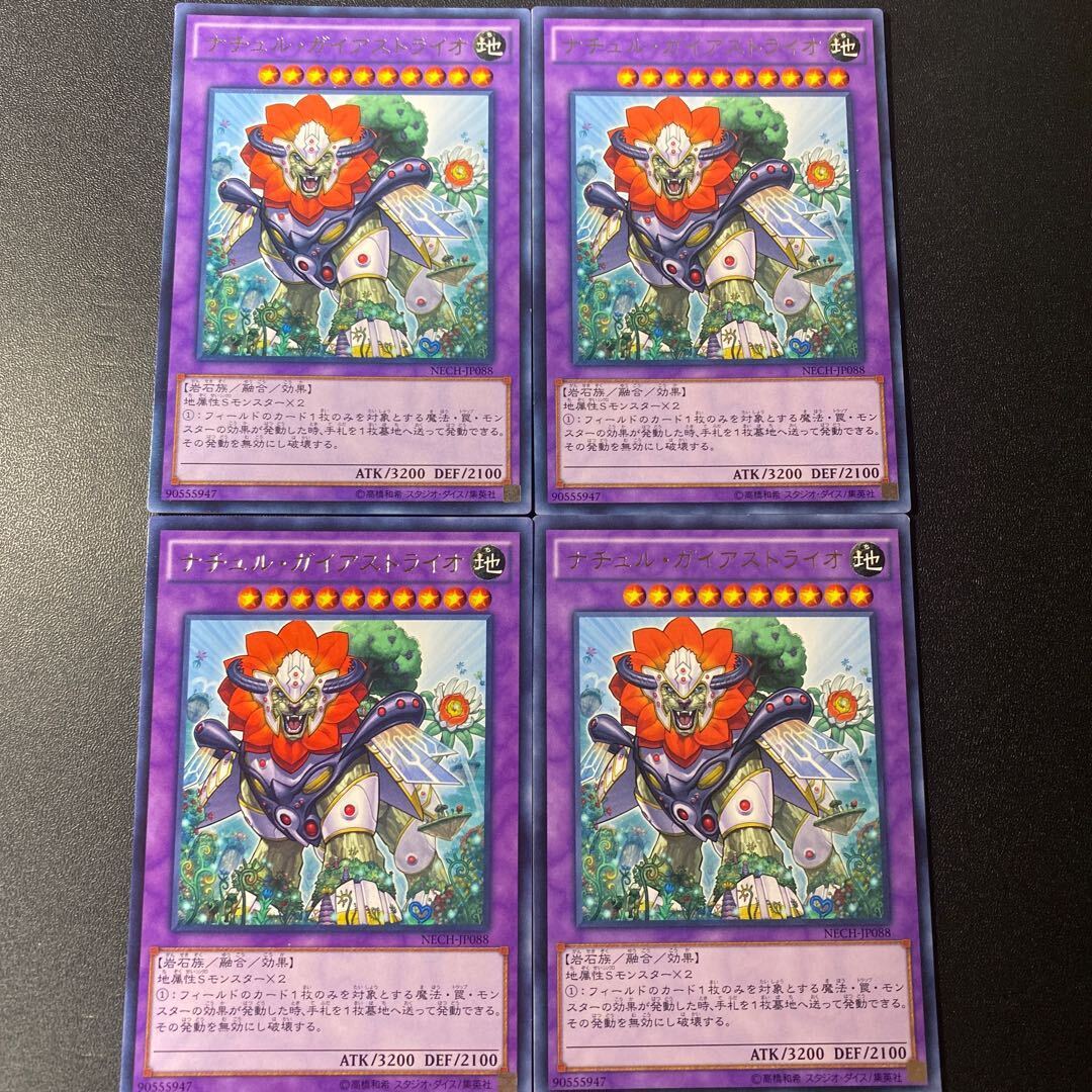 ナチュル・ガイアストライオ