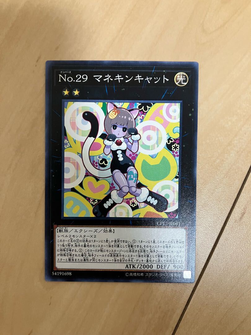 Number 29: Mannequin Cat