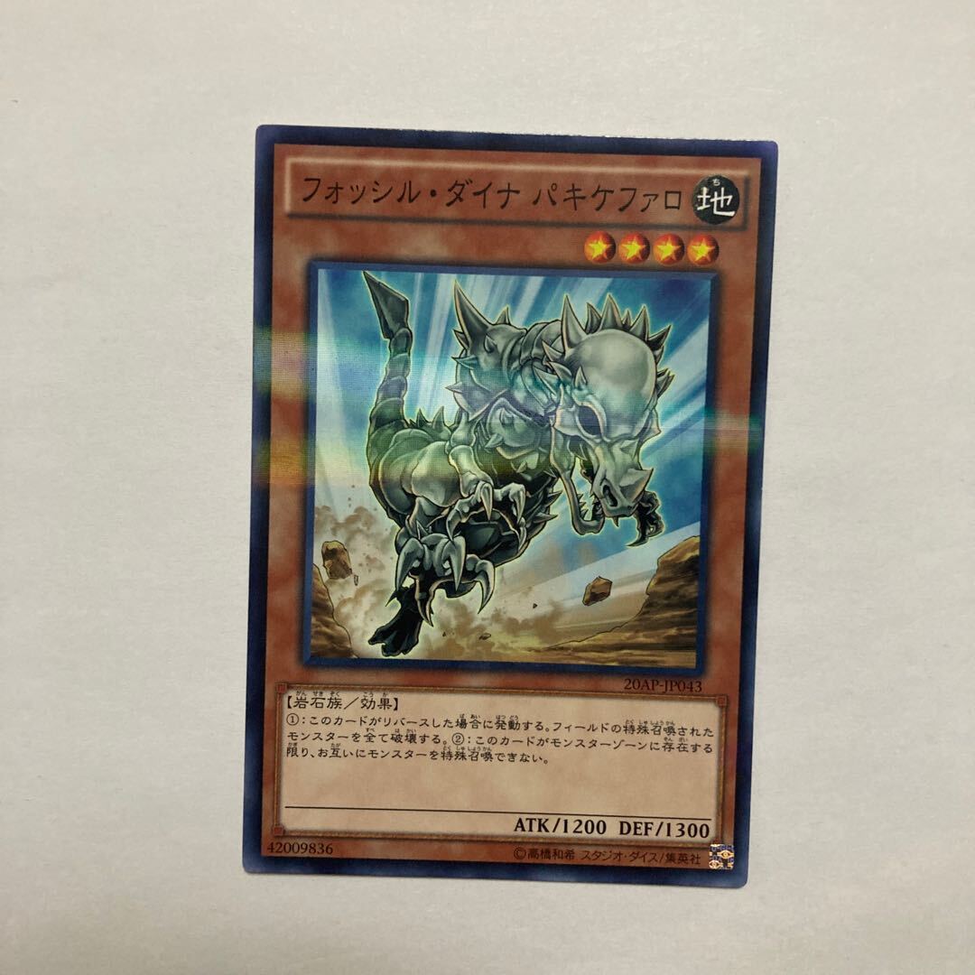 Fossil Dyna Pachycephalo