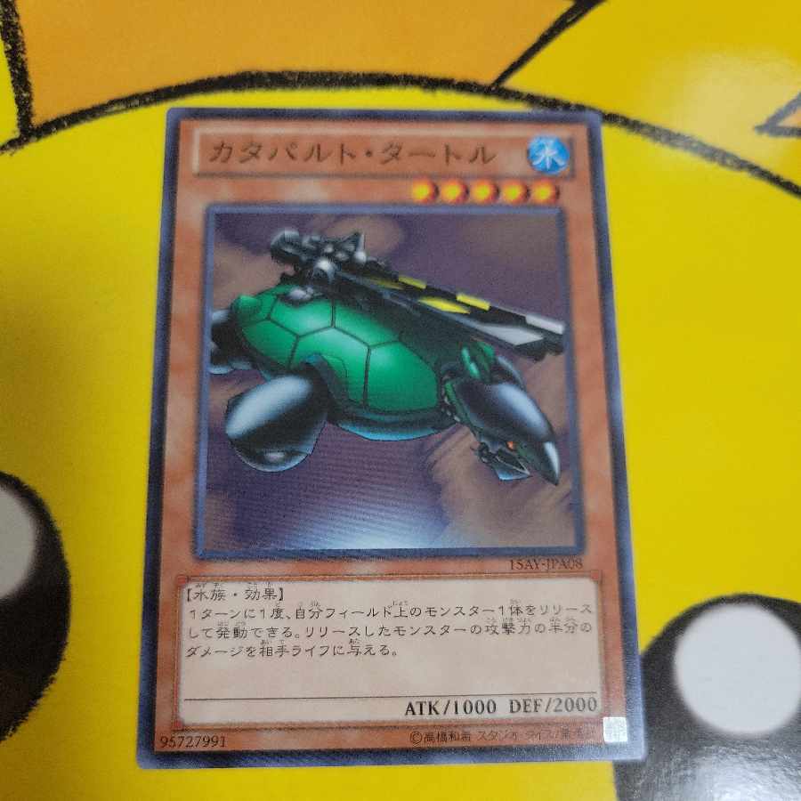 Catapult Turtle