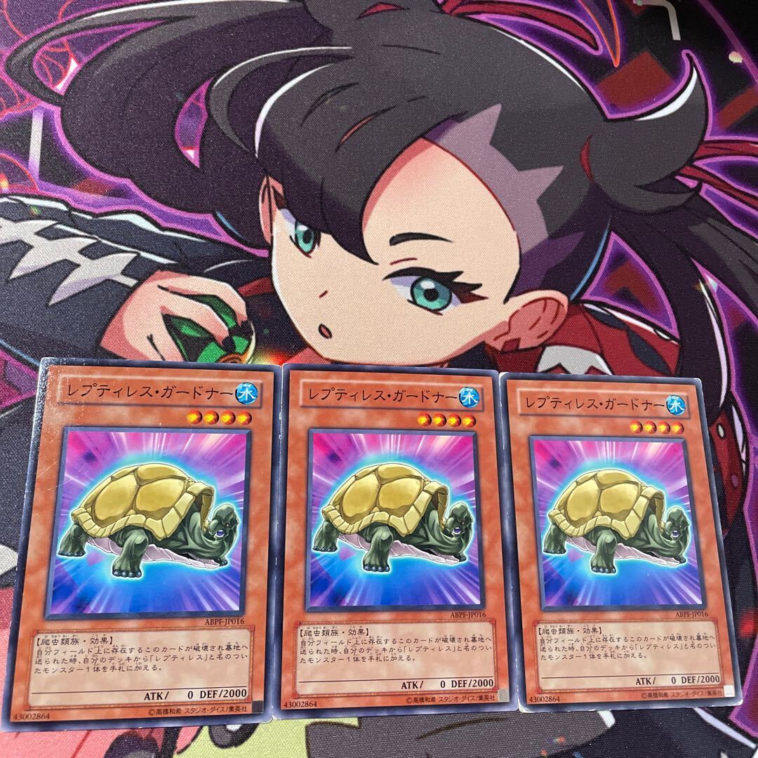 レプティレス・ガードナー