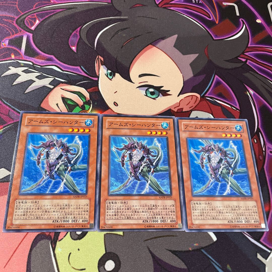 アームズ・シーハンター