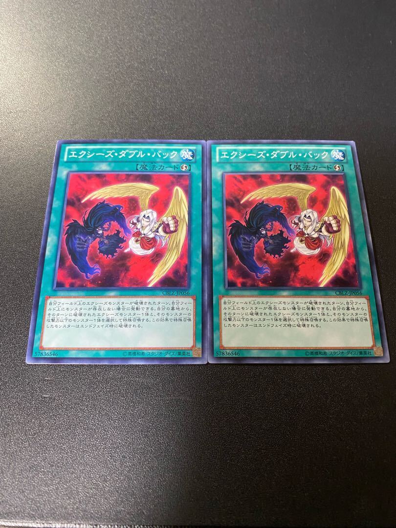 エクシーズ・ダブル・バック