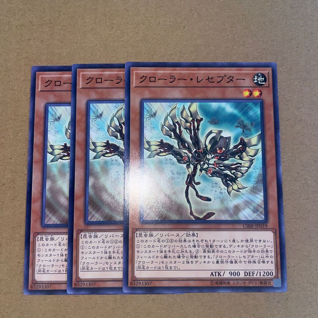 クローラー・レセプター