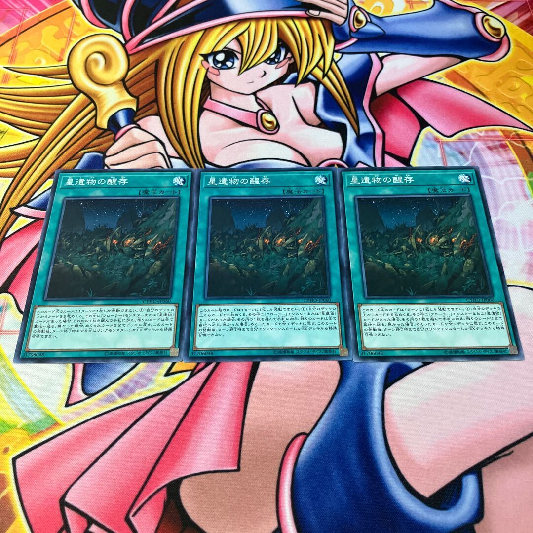 World Legacy Survivor