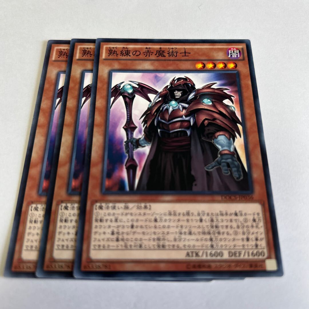 熟練の赤魔術士