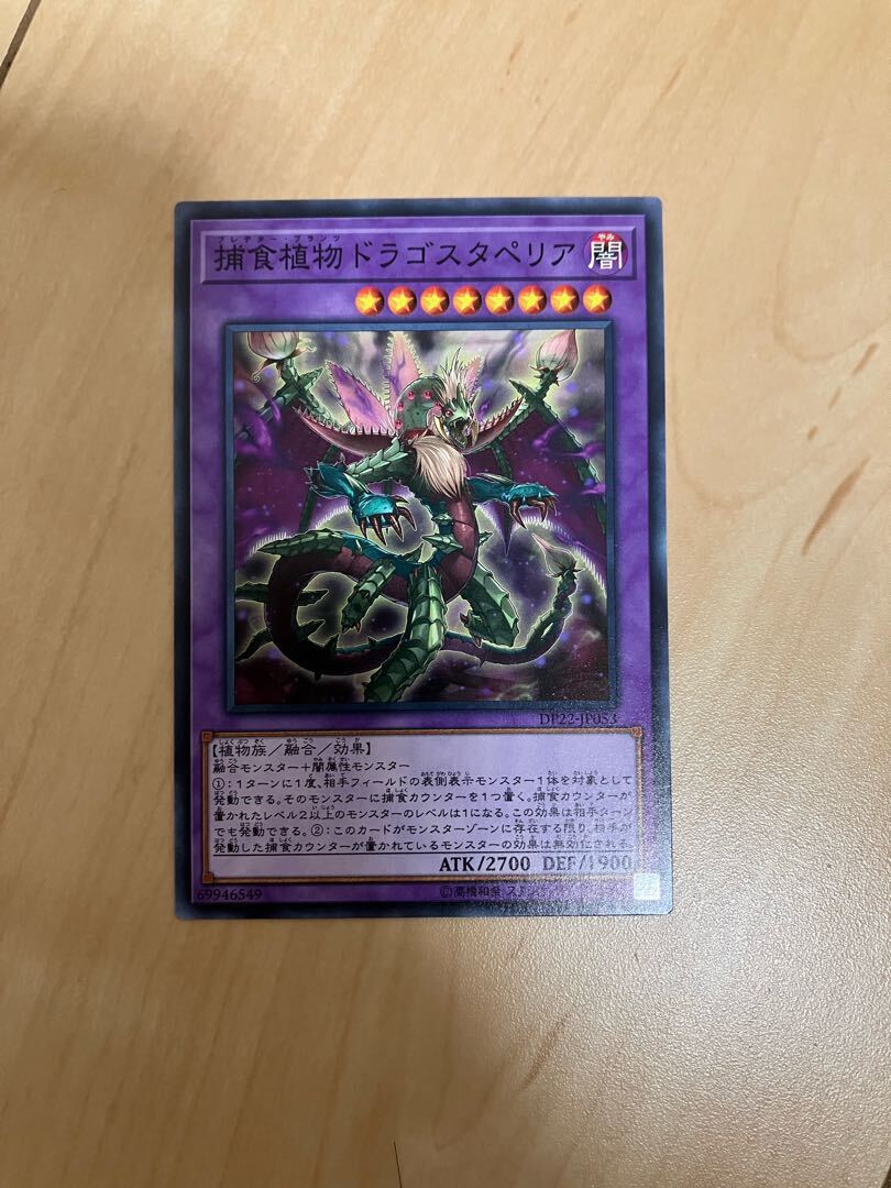 Predaplant Dragostapelia