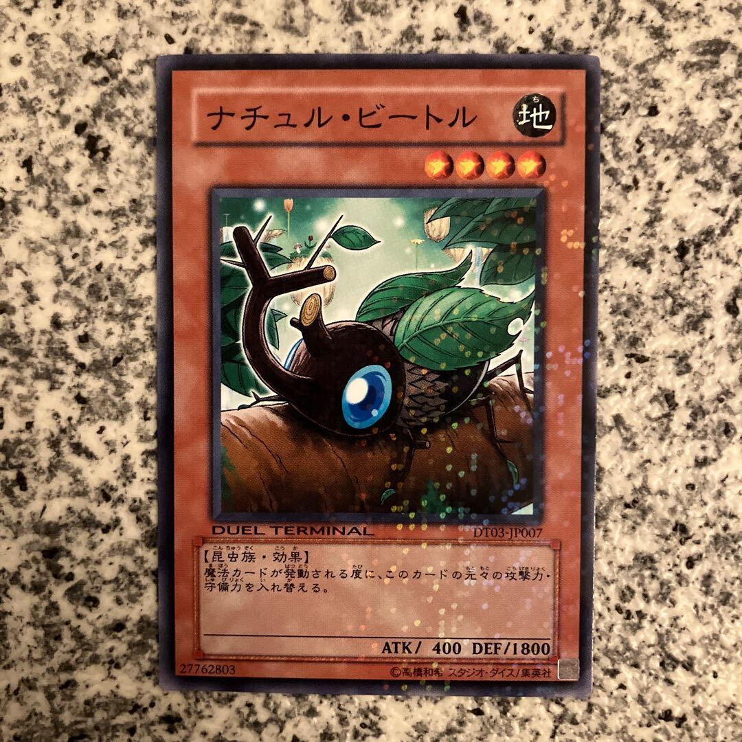 ナチュル・ビートル