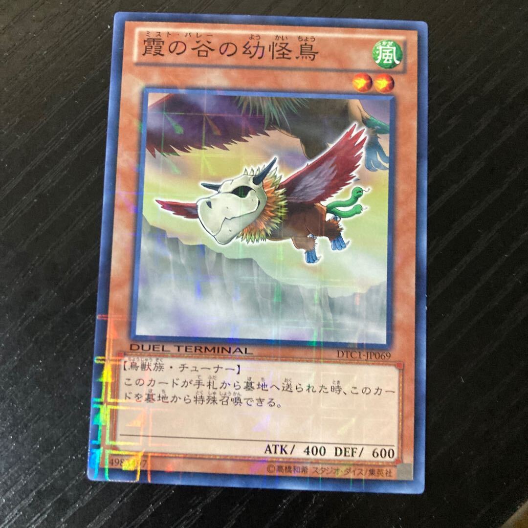 霞の谷の幼怪鳥