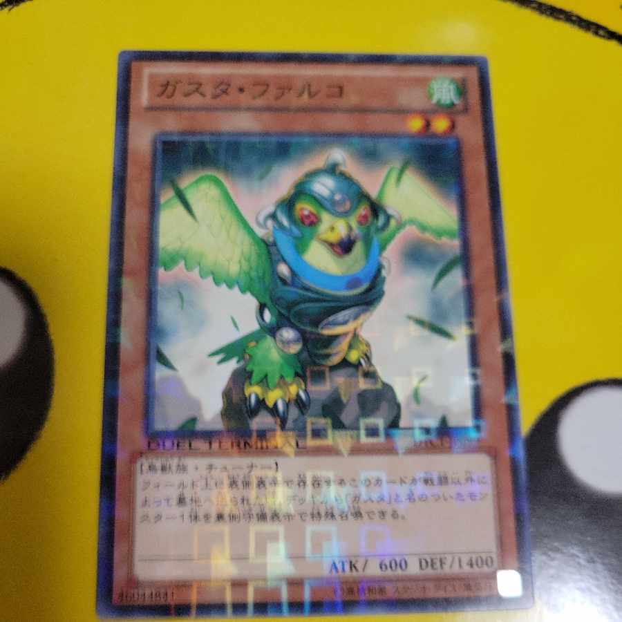 ガスタ・ファルコ