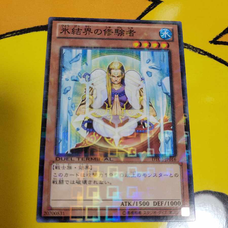 Pilgrim of the Ice Barrier