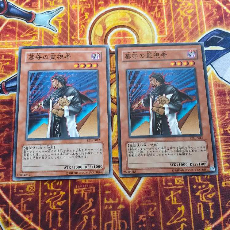 墓守の監視者