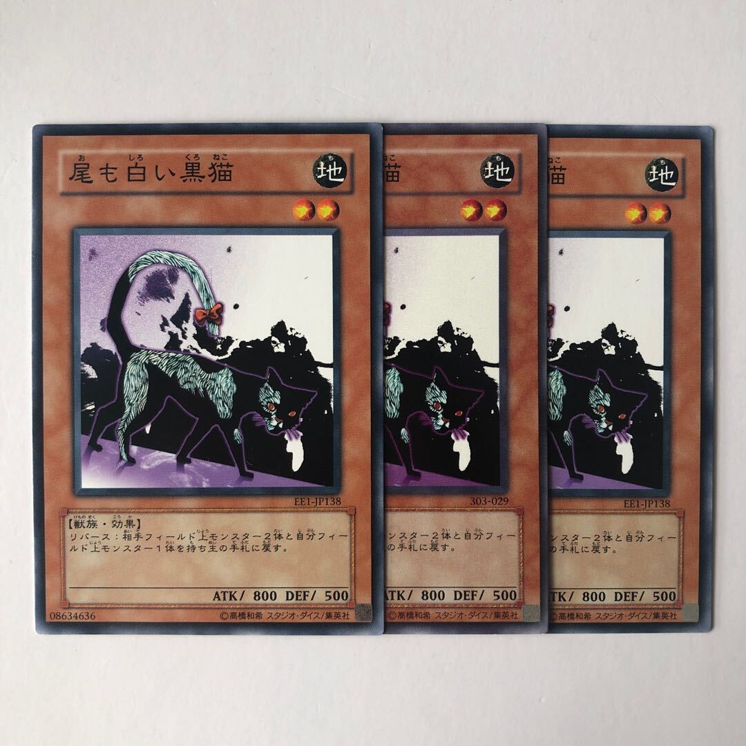 Dark Cat with White Tail