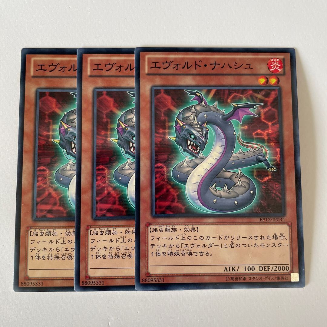 エヴォルド・ナハシュ