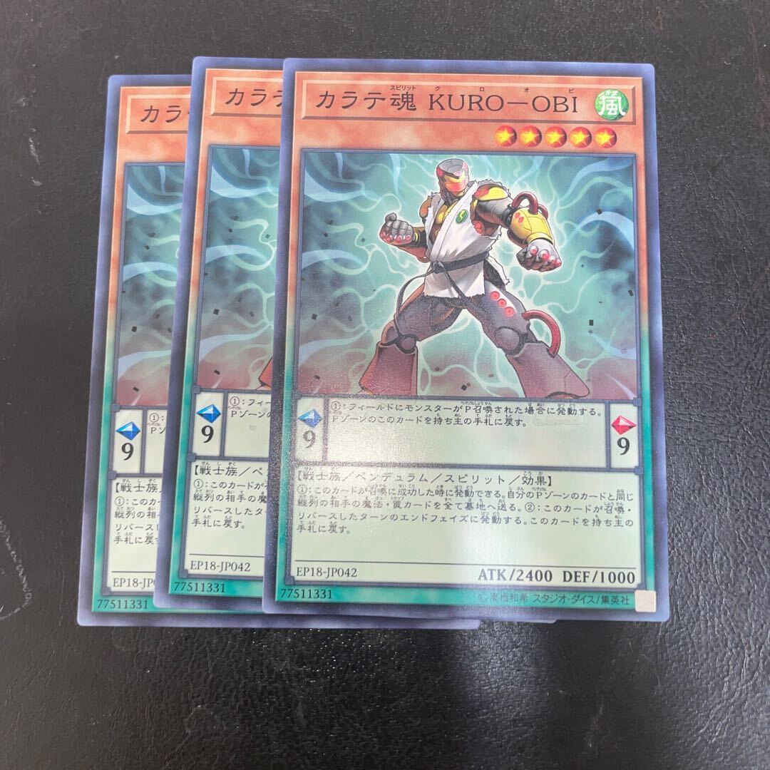 カラテ魂 KURO-OBI