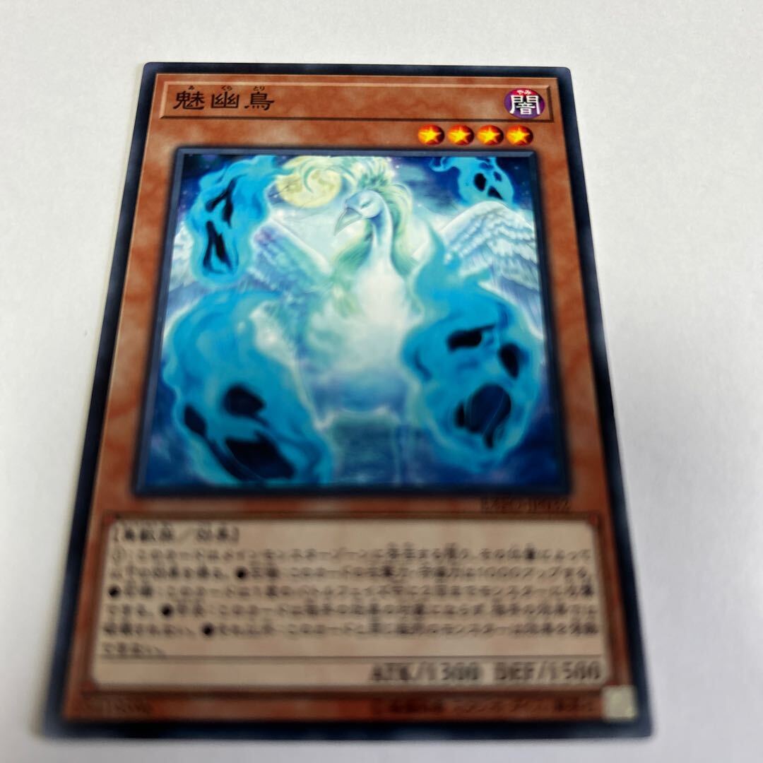 Ghost Bird of Bewitchment