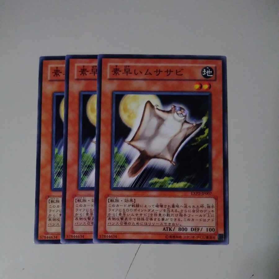 素早いムササビ