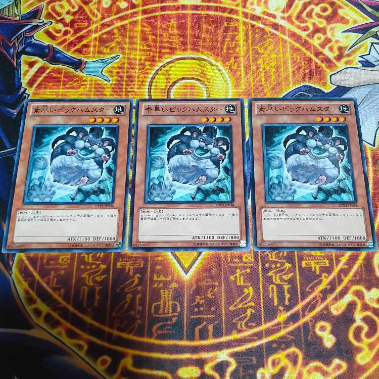 素早いビッグハムスター