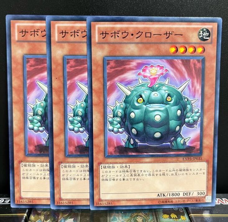 サボウ・クローザー