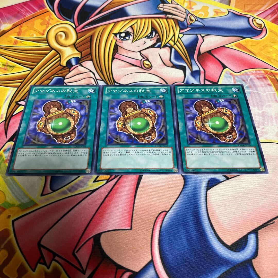 アマゾネスの秘宝